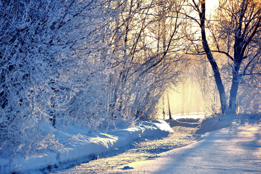 519639 (a): :2560x1700
